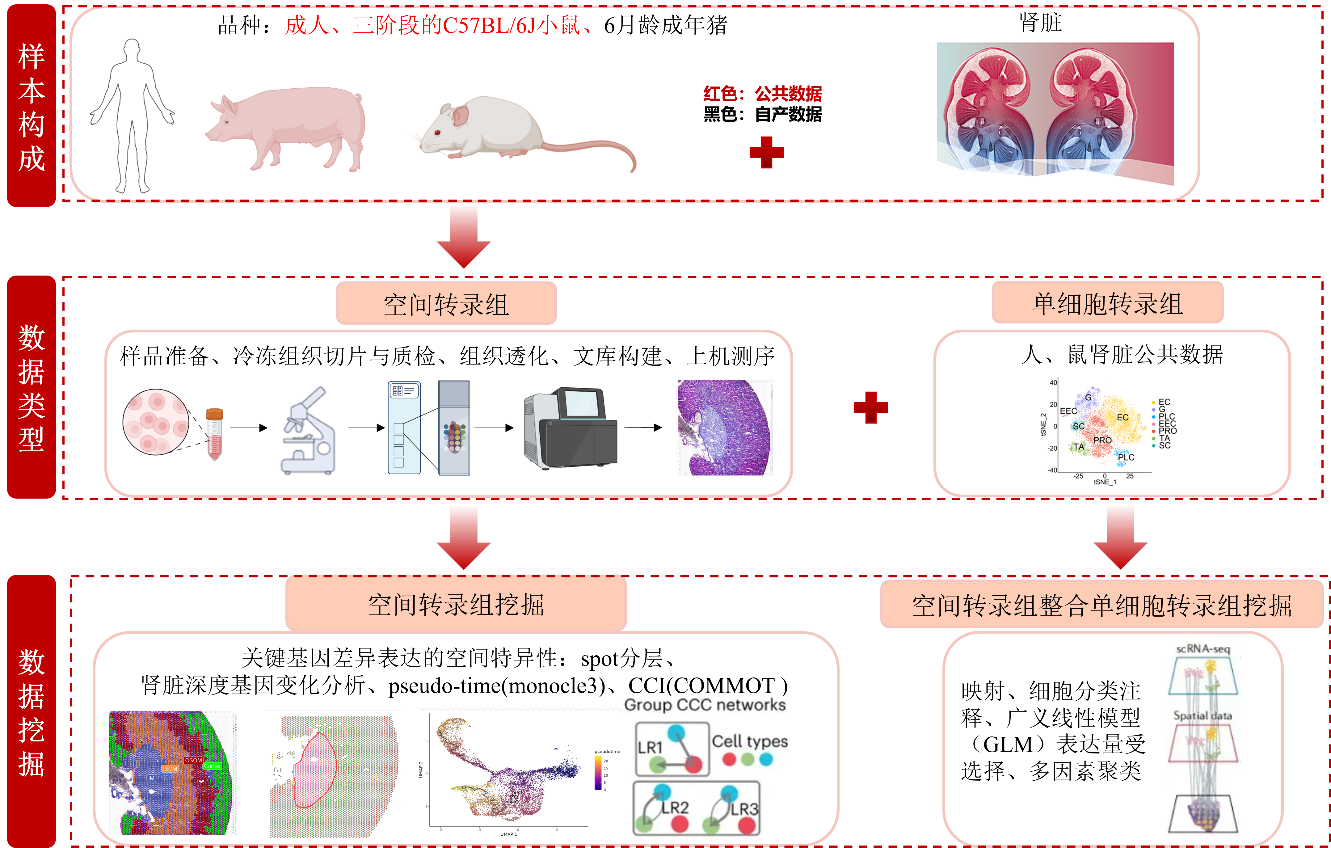技术路线-2